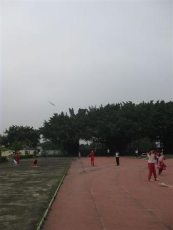 飛得高嗎?