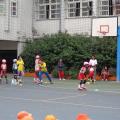 DSC00523