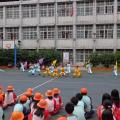 DSC00527