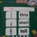 thin瘦~short矮~tall高