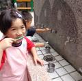 DSC00594