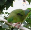 DSC00433