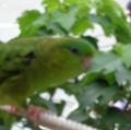 DSC00434