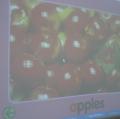 A-a-apple