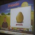 柚子的英文叫~pomelo