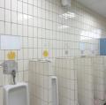 DSC00231.JPG