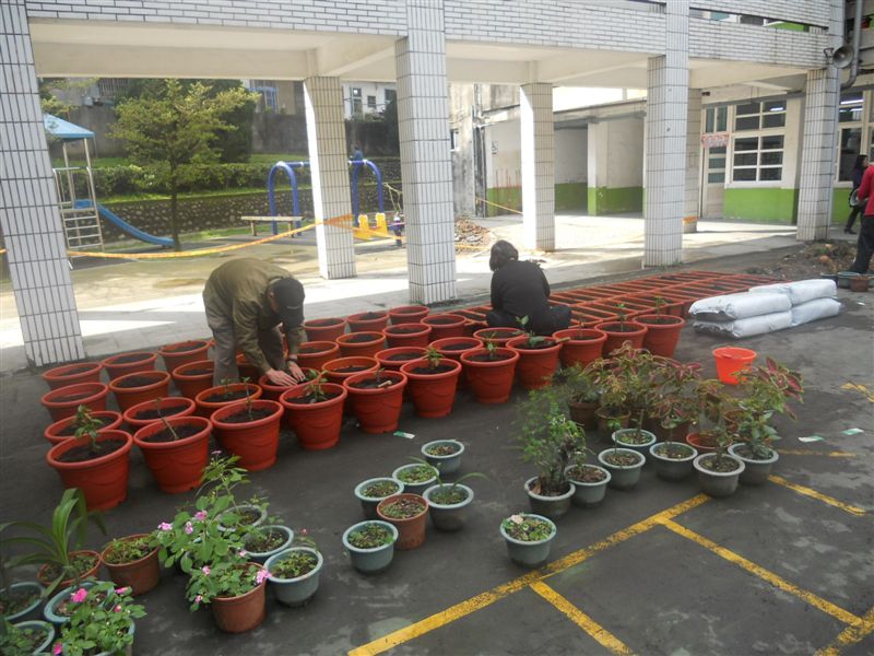 小花別怕 我們給妳換個更大的家