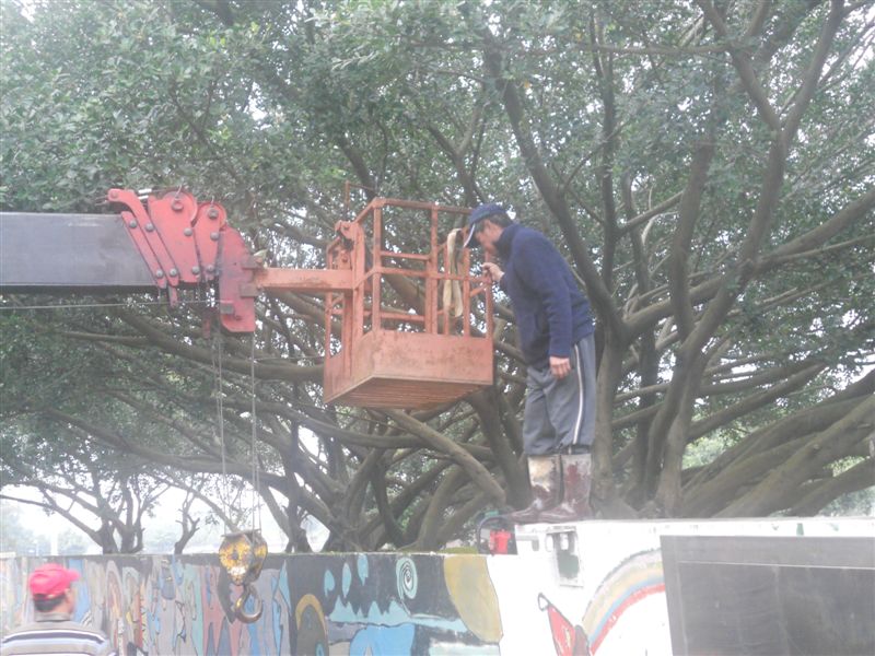 出動吊車 以利作業