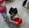 DSC00702