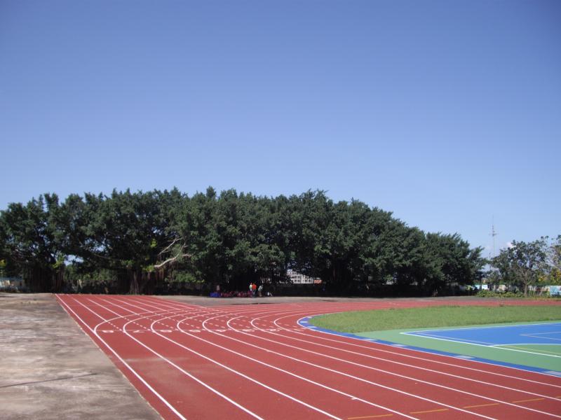 IMGP4568.JPG