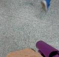 DSC01487.JPG