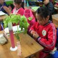 DSCN5478.JPG