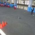 DSC01011.JPG