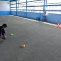 DSC01014.JPG