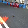 DSC01033.JPG