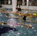 DSC00173.JPG