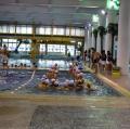 DSC00162.JPG