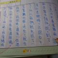 DSC00882.JPG