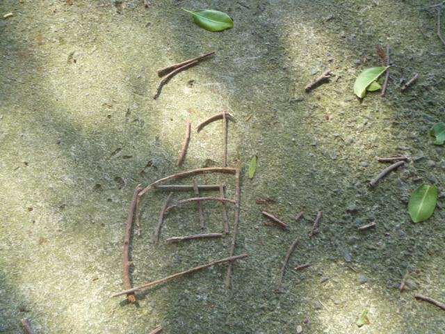 P1030526.JPG