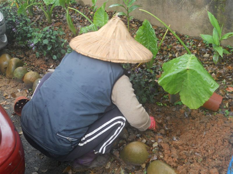 記住要領---深耕淺種