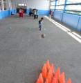 DSC01608.JPG