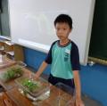 sanfong 003.JPG