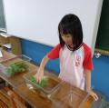 sanfong 009.JPG