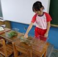 sanfong 010.JPG