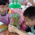 sanfong 028.JPG