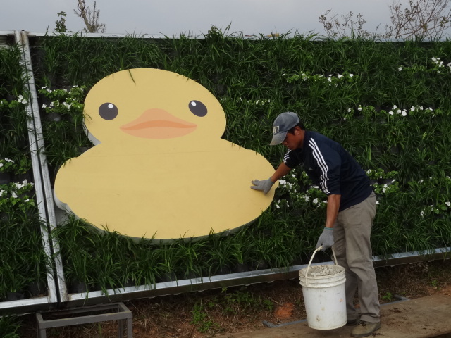 黃色小鴨歡迎您!