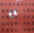 DSC01310.JPG