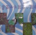 DSC01311.JPG