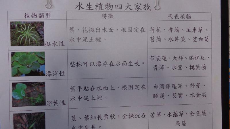 DSC01317.JPG