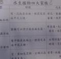 DSC01317.JPG