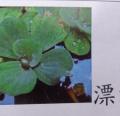 DSC01320.JPG