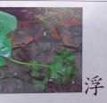 DSC01321.JPG