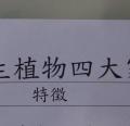 DSC01323.JPG