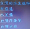 DSC01327.JPG