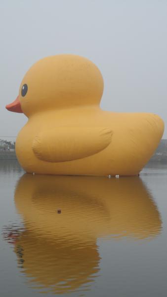 Hofman’s Rubber Duck is sitting in one of the many ponds in Sinwu Township