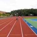 DSC00590.JPG