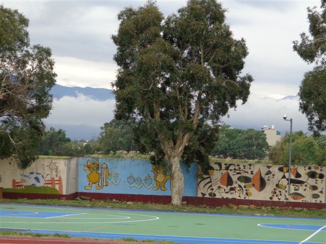 DSC01564