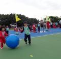DSC02630