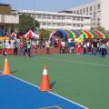 DSC01161