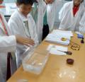 英語村教學10.Science  lab-SAM_4185.JPG