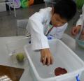 英語村教學10.Science  lab-SAM_4203.JPG