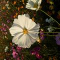 2013-11-23-16-02-37_photo