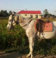 2013-11-23-16-03-55_photo