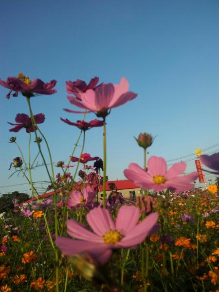 2013-11-23-16-09-39_photo