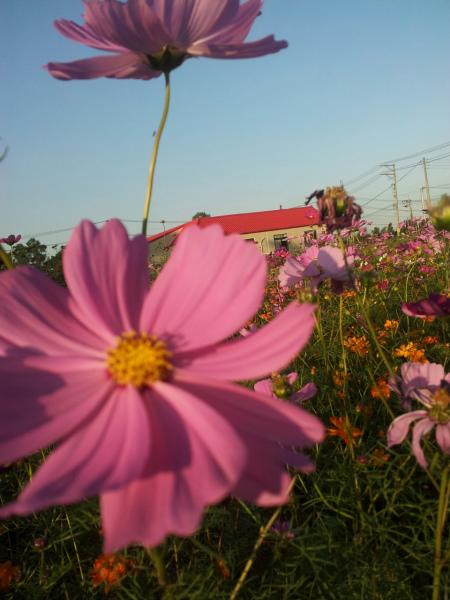 2013-11-23-16-11-32_photo