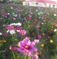 2013-11-23-16-17-48_photo